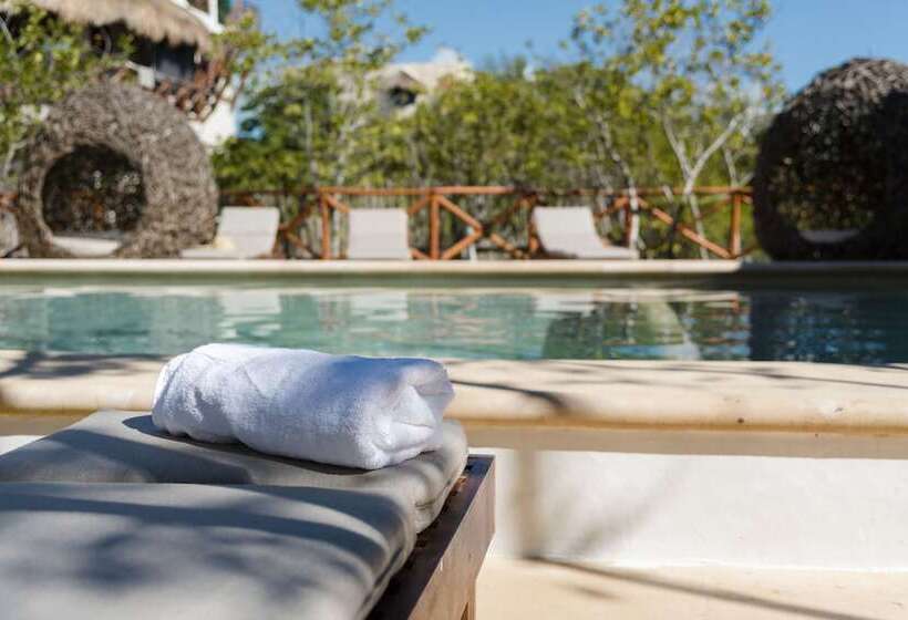 هتل Sanyama Holbox