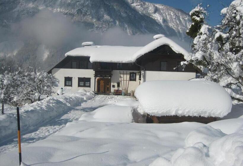 مبيت وإفطار Landhaus Seebacher