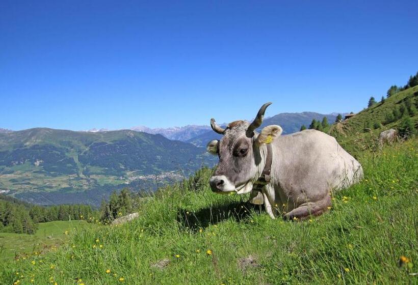 Bed and Breakfast Pension Fuchs
