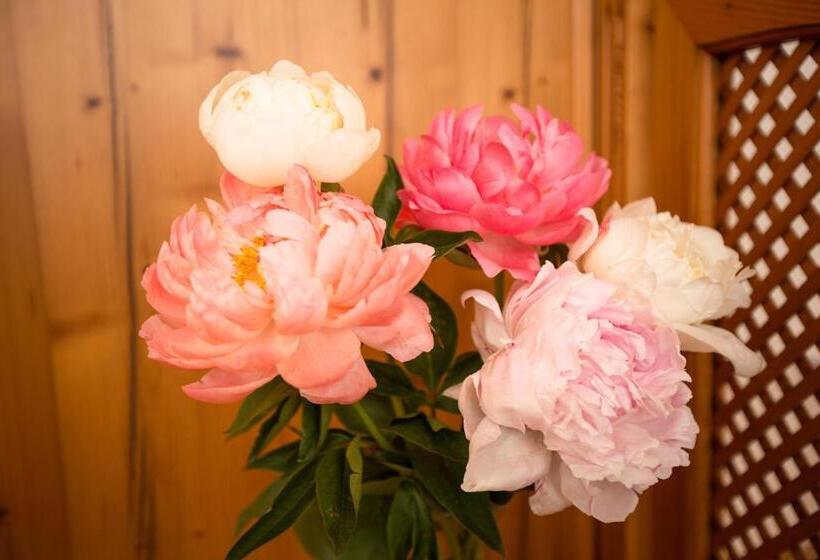 ベッドアンドブレックファースト Pension Knoll