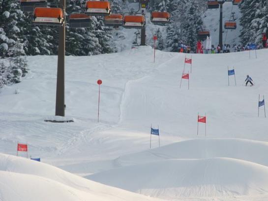Bauernhof Elsbichlhof