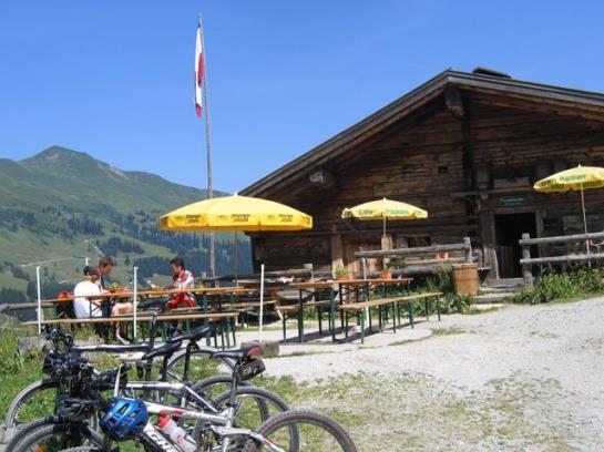 Пансион Gästehaus Larch
