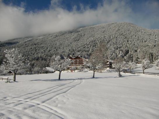 酒店 Linserhof Bed&breakfast