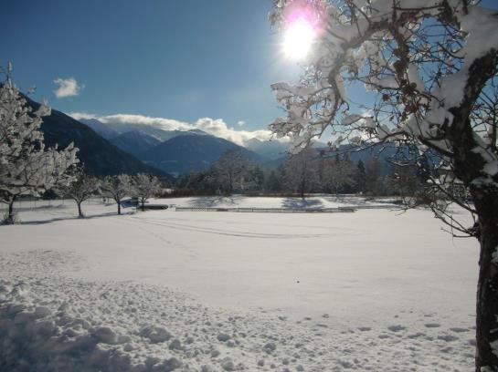 酒店 Linserhof Bed&breakfast