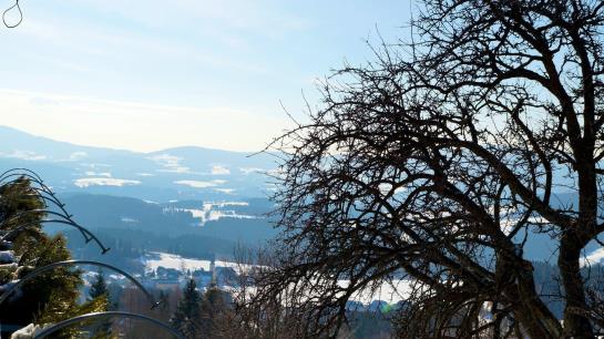 ペンション Familienhotel Berger