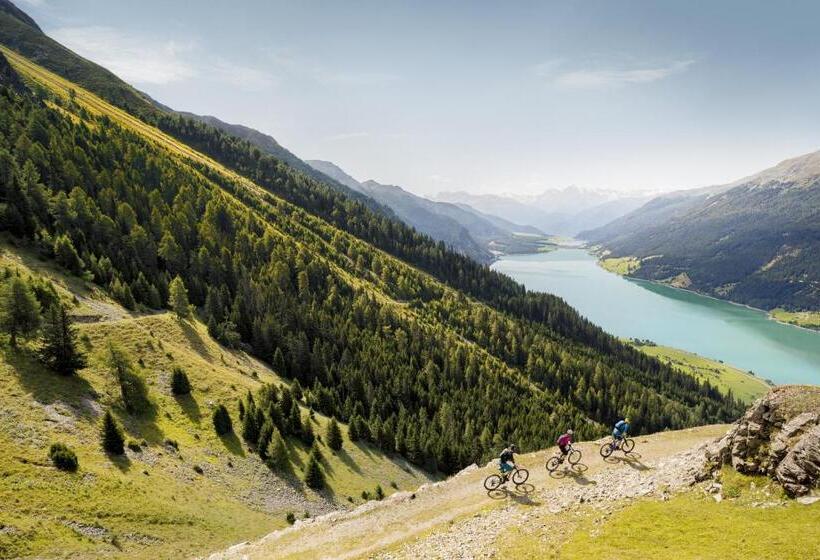 Отель Brenner   Stop & Go