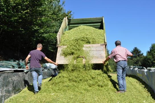 בית מלון כפרי Holzgethan