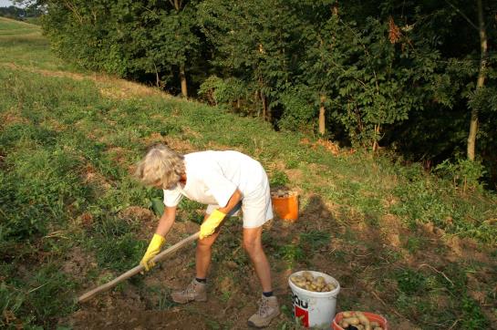 בית מלון כפרי Holzgethan
