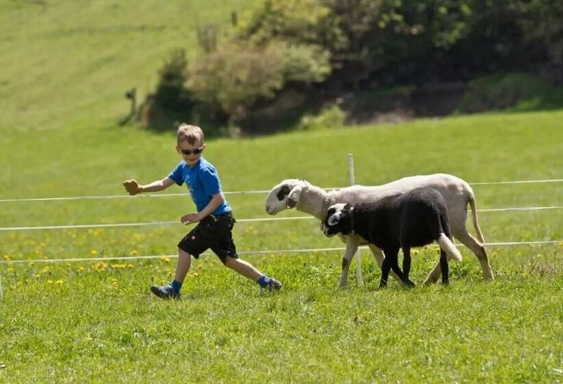 هتل Zittrauerhof   Urlaub Am Bauernhof Gastein