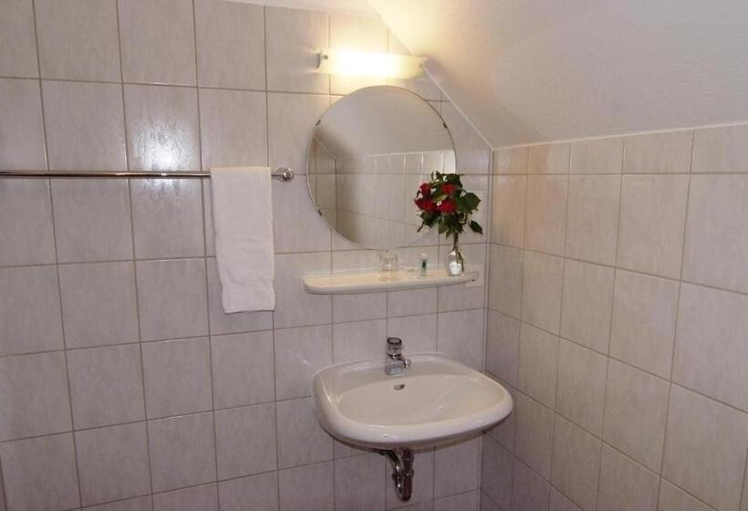 Отель Zur Traube