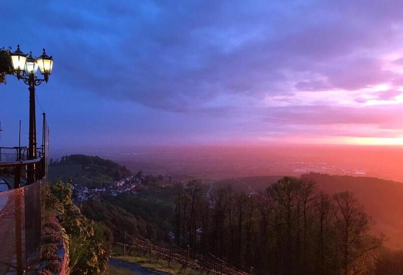 هتل Burg Windeck S