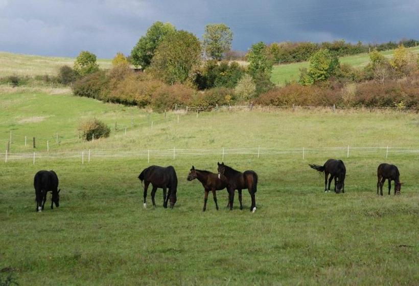 호텔 Pferdezentrum Edersee