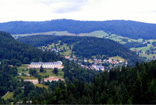 酒店 Schwarzwälder Hof