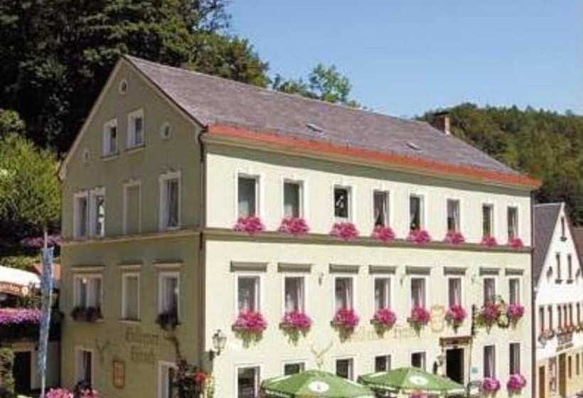 پانسیون Gasthof & Hotel Goldener Hirsch