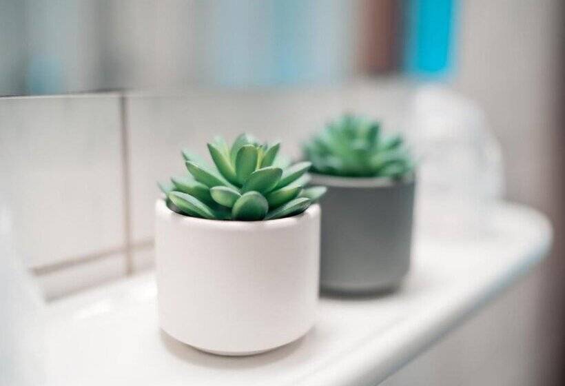 Airport Lounge Hotel Düsseldorf