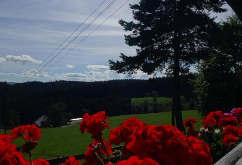 Отель Schwarzwaldgasthaus Salenhof
