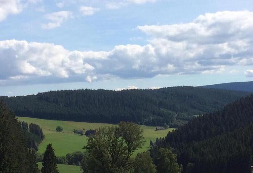 Отель Schwarzwaldgasthaus Salenhof