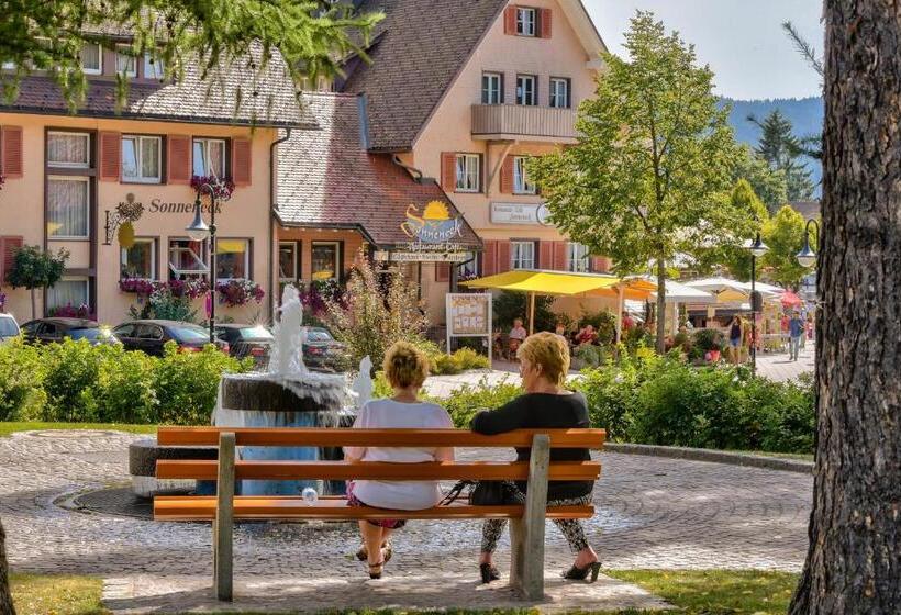 Отель Sonneneck Titisee  Adults Only