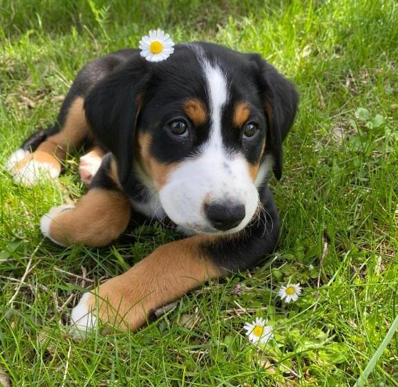 פנסיון Gästehaus An Der Sempt   Wohlfühlen Auf Dem Lande