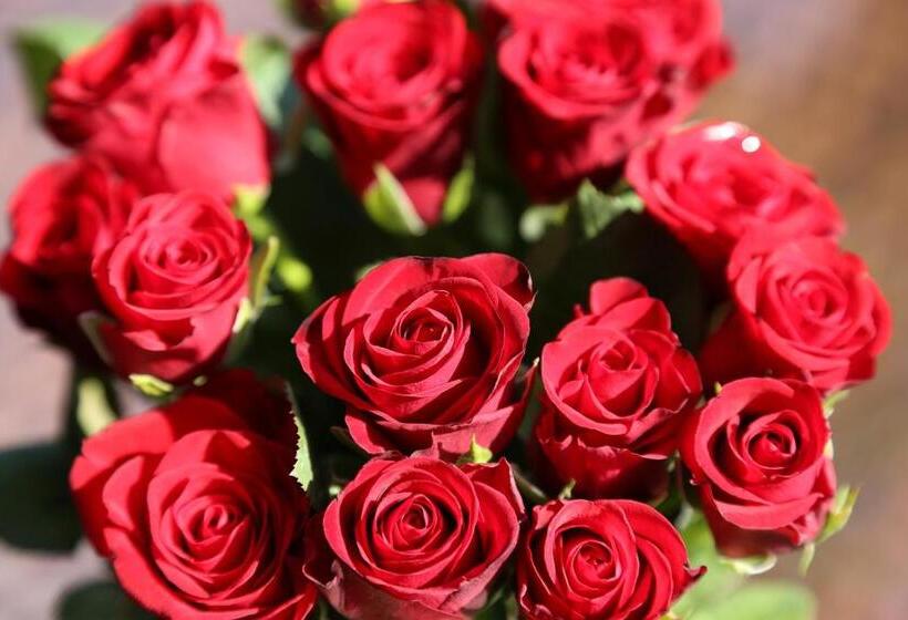 Villa Thea Hotel Am Rosengarten