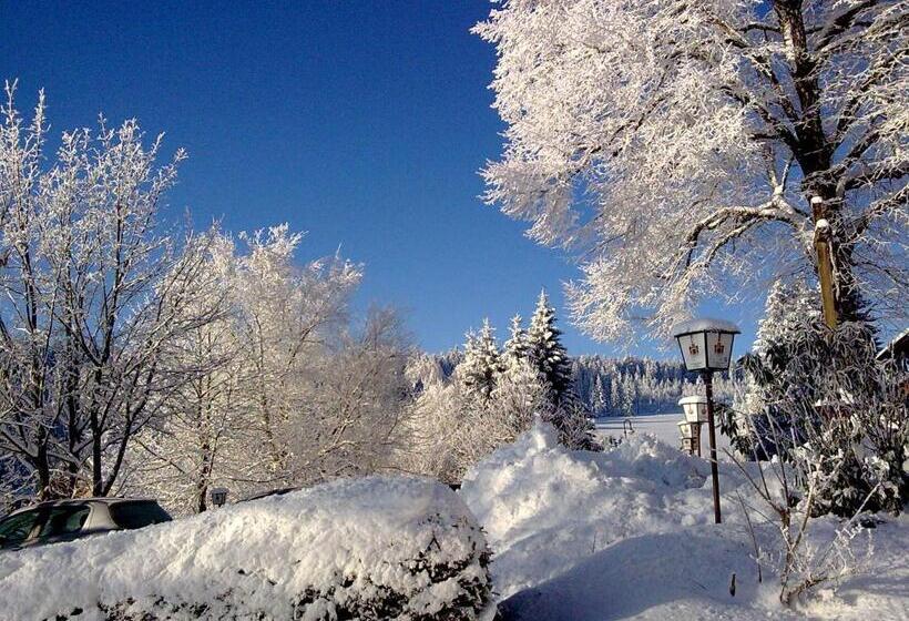 Zur Traube Schwarzwaldhotel & Restaurant Am Titisee