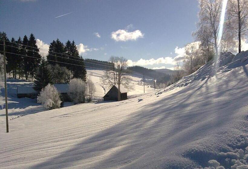 Zur Traube Schwarzwaldhotel & Restaurant Am Titisee