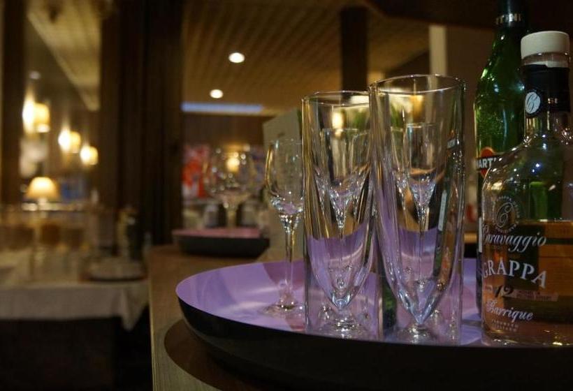 호텔 Binnewies City