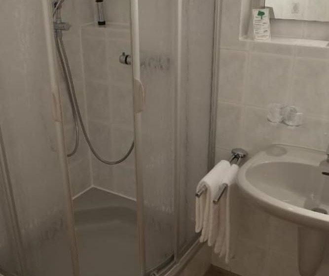 فندق Brunnenhof International