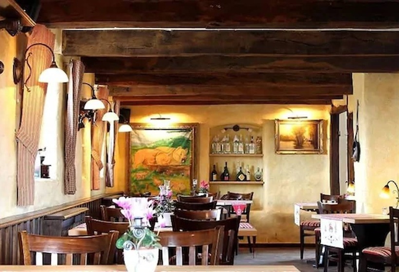 بنسيون Alt Enginger Mühle