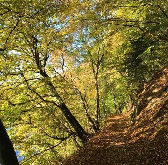 فندق Restaurant Bürgerstube