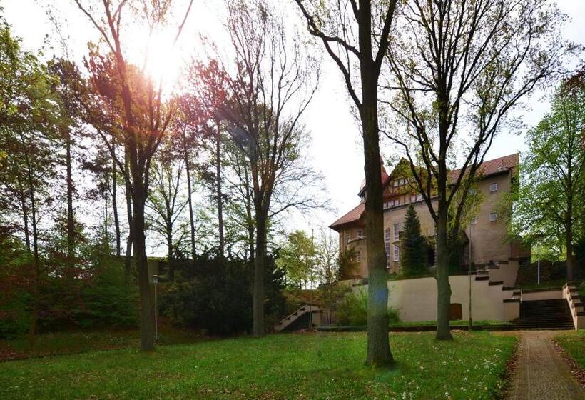 Отель Villa Ephraim