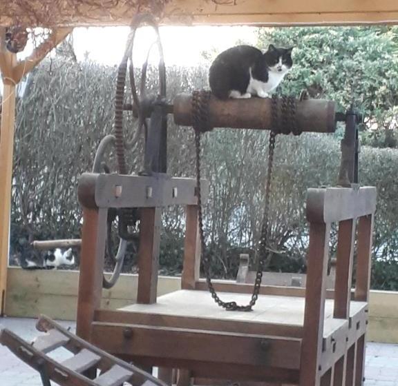 Familienhotel Zur Linde