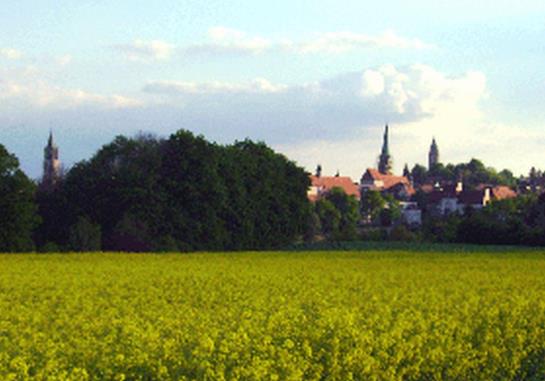 Отель Pension Landgasthof Zum Seehof