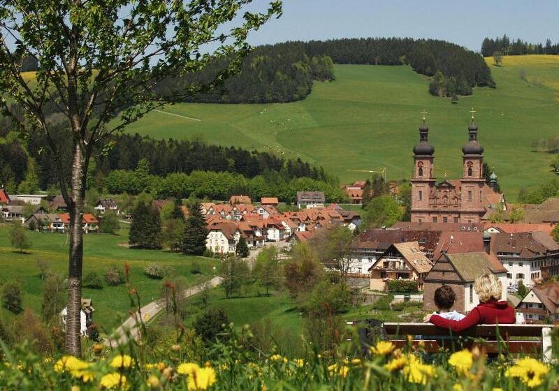 Отель Hirschen
