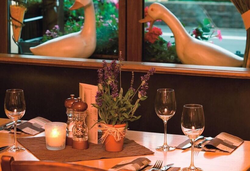 Moselhotel & Restaurant Zur Traube Gmbh