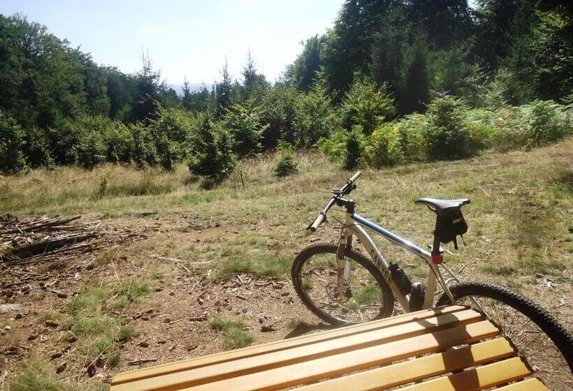 ホテル Landgasthof Zur Post, Hochwälder Radstation