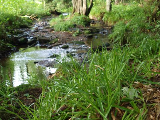 Waldresidenz Am Roten Wasser