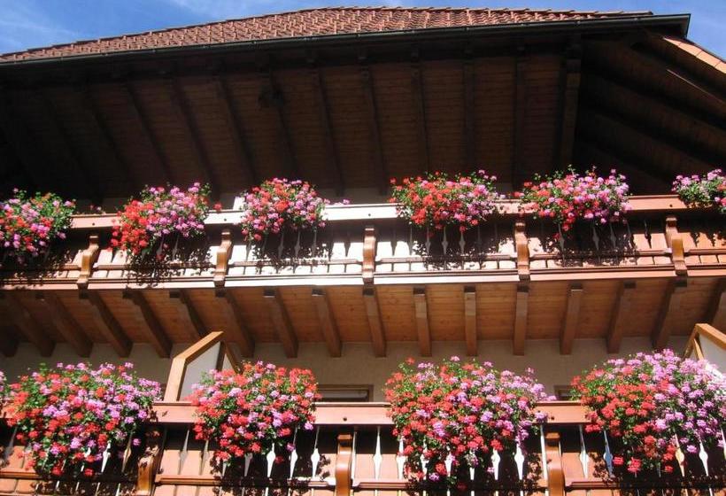 ペンション Gasthaus Zum Hirschen