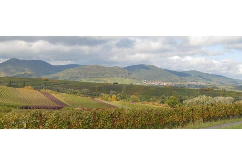 膳宿费 Gästehaus Kleine Kalmit