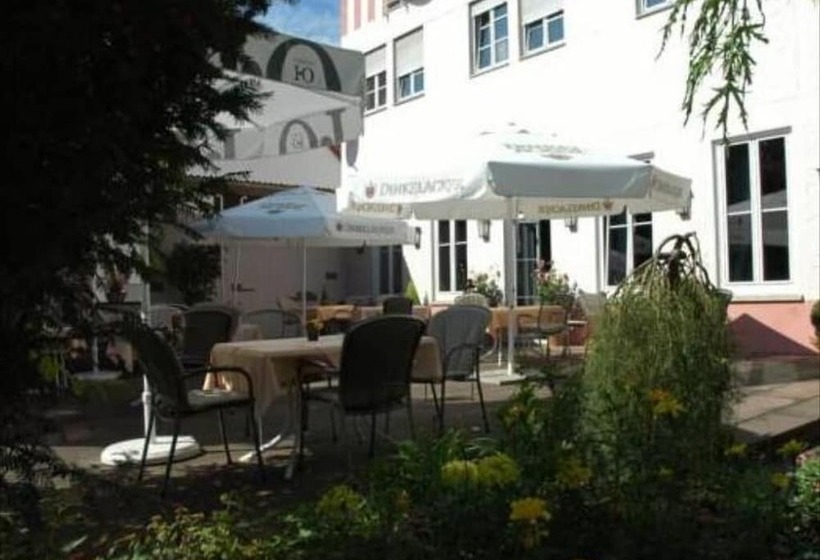 پانسیون Landgasthof Hirsch