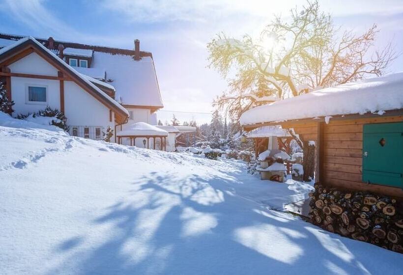 Romantik Hotel Rindenmühle