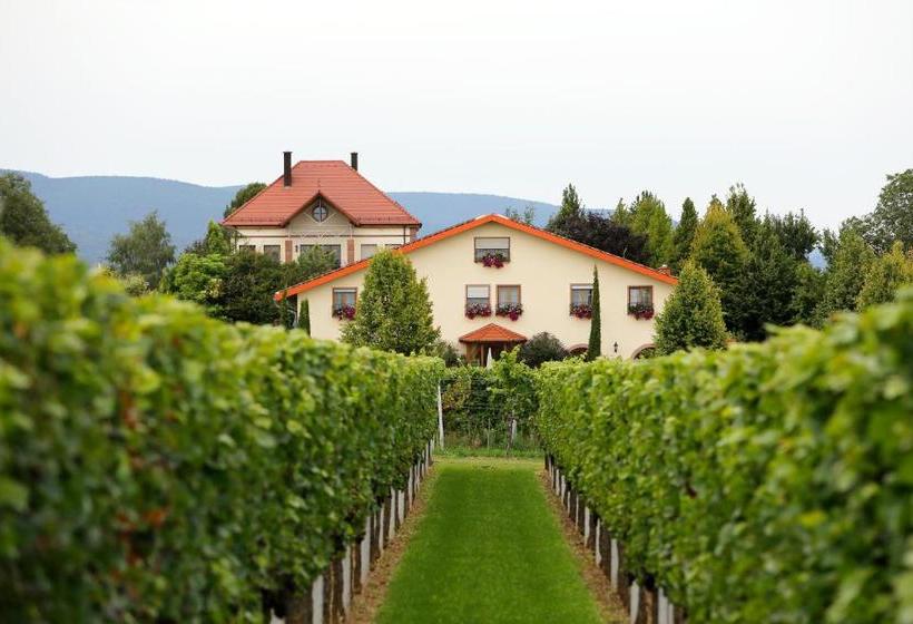 Villa Hochdörffer Gästehaus