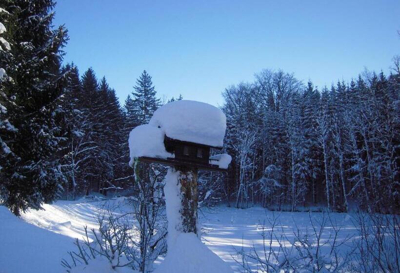 Bed and Breakfast Pension Nocksteinblick