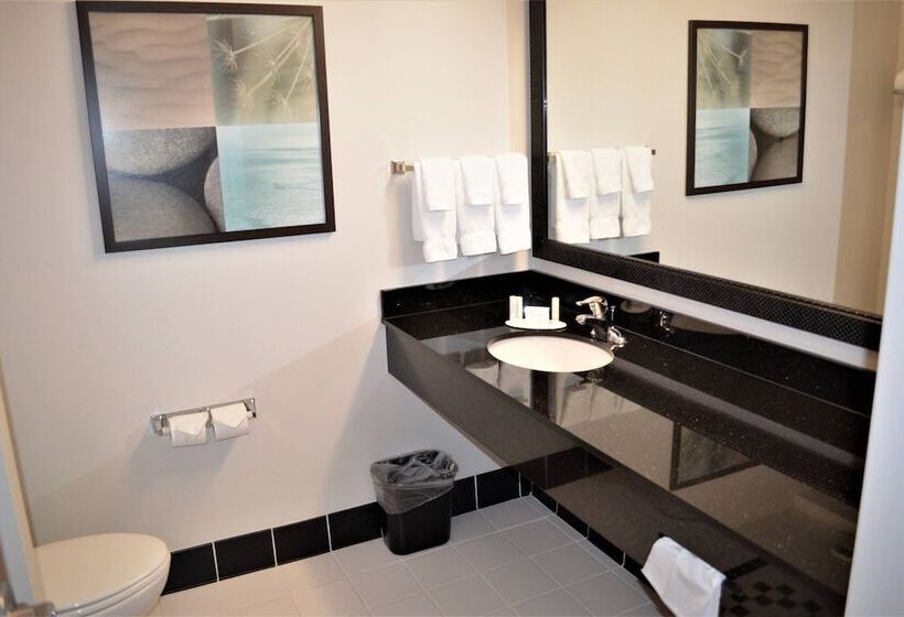 هتل Fairfield Inn & Suites By Marriott Sault Ste. Marie