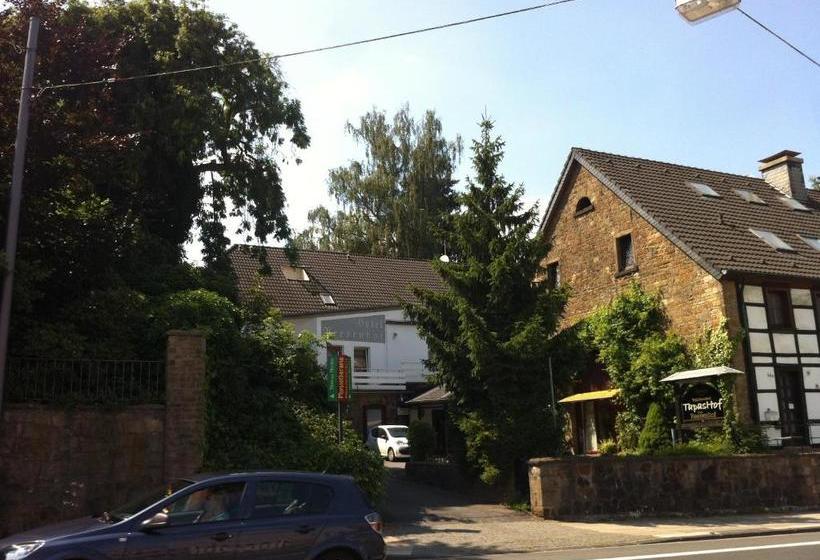 هتل Reesenhof