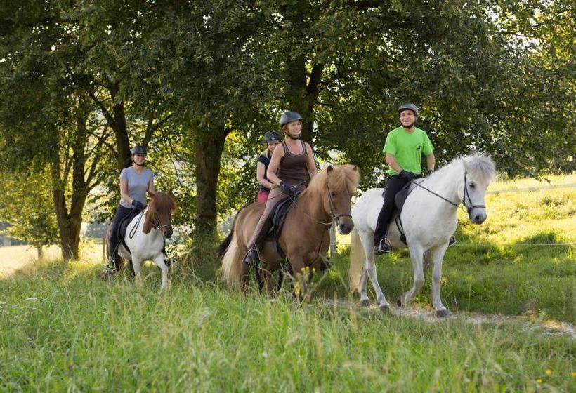 בית מלון כפרי Reitzentrum Hausruckhof
