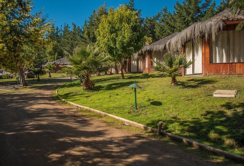 בית מלון כפרי Pao Pao Lodge Algarrobo