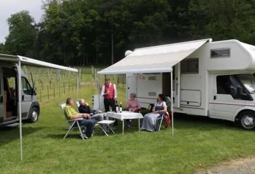 膳宿费 Winzerhof Strablegg