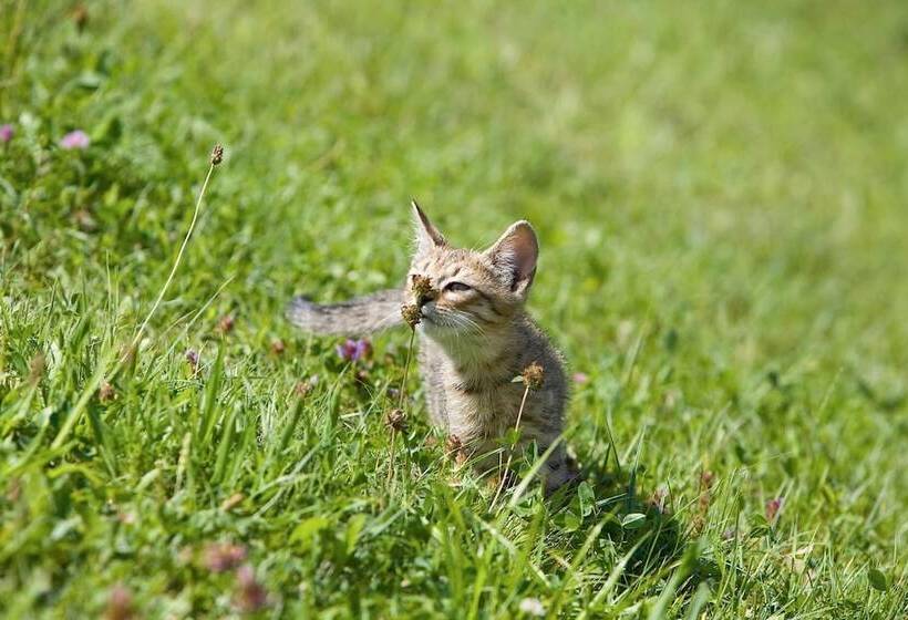 膳宿费 Winzerhof Strablegg