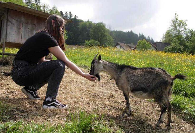 膳宿费 Winzerhof Strablegg